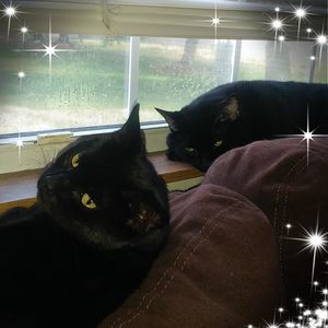 Meet your Posher, Christine